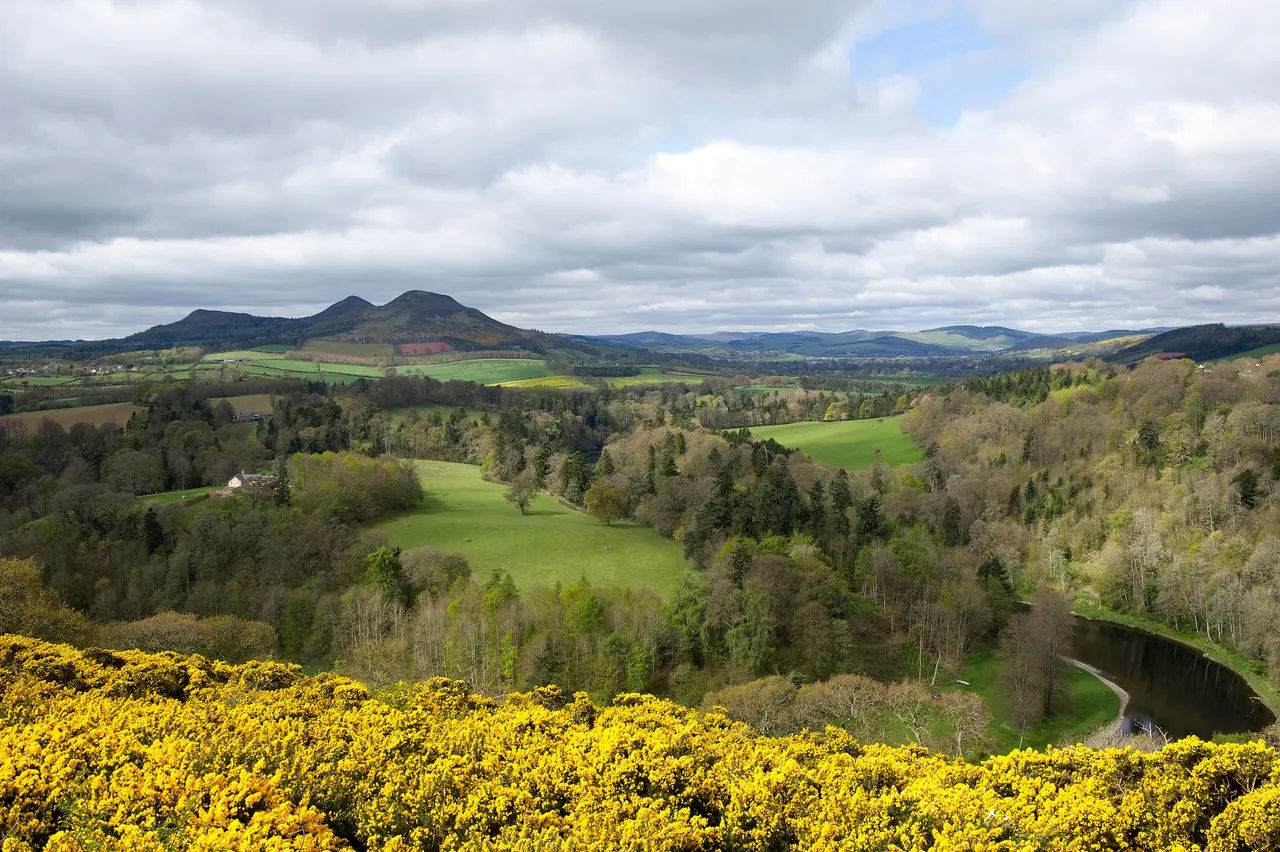 Scott’s View