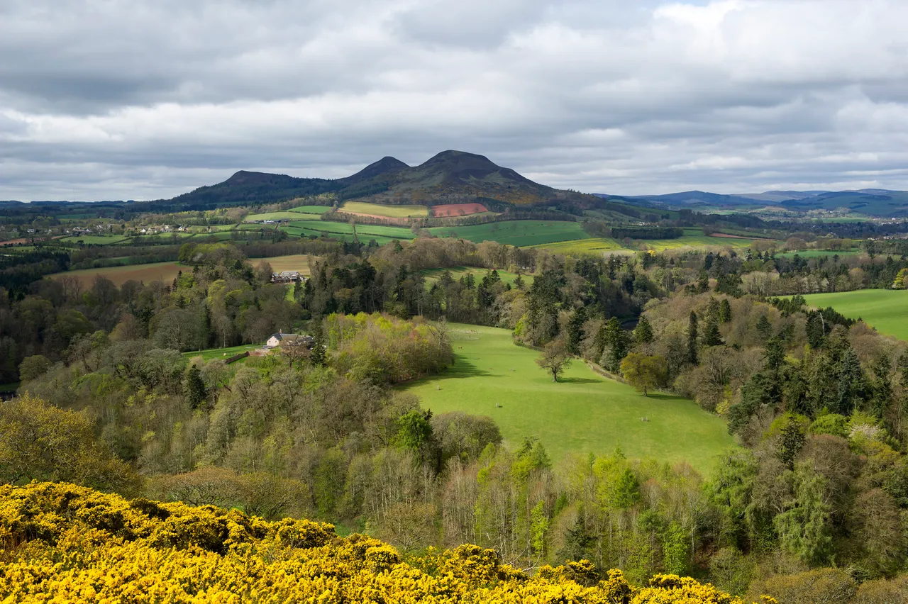 Scott’s View