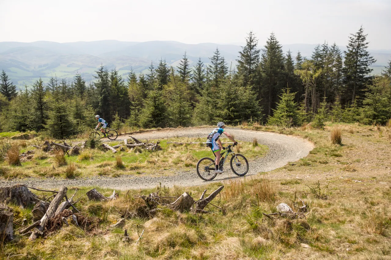 Glentress Forest Trails