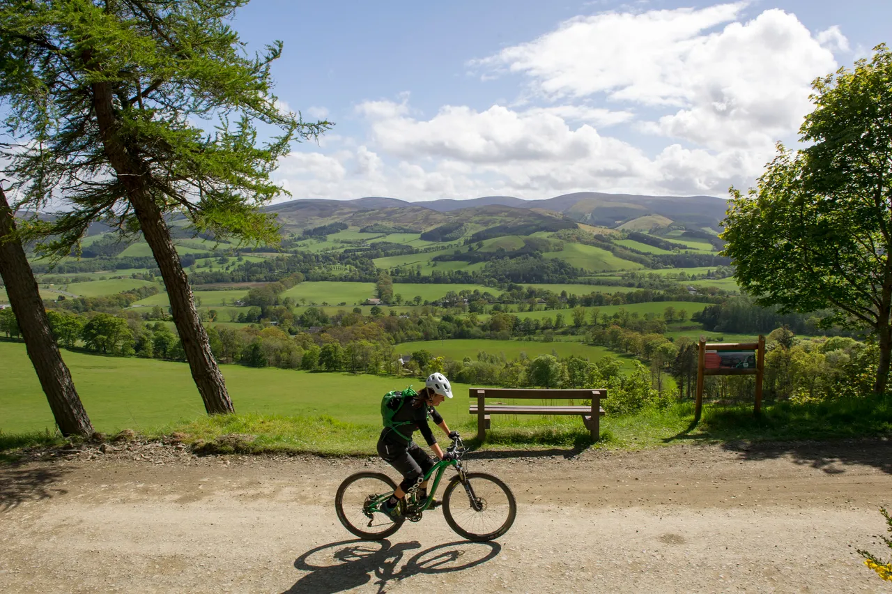Glentress Forest