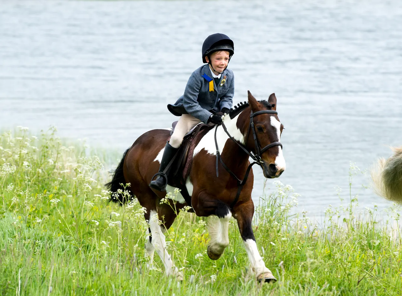 Hawick Common Riding  2015