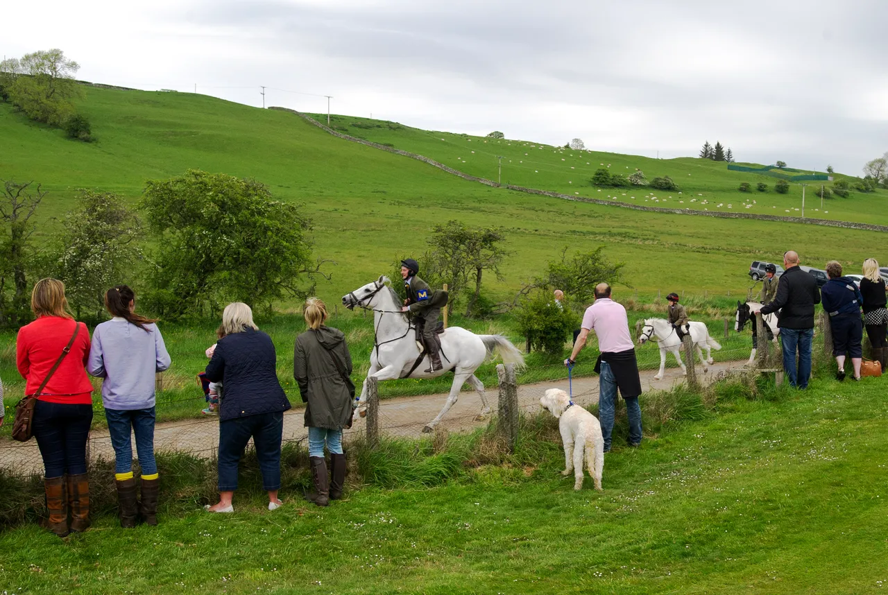 Hawick Common Riding  2015