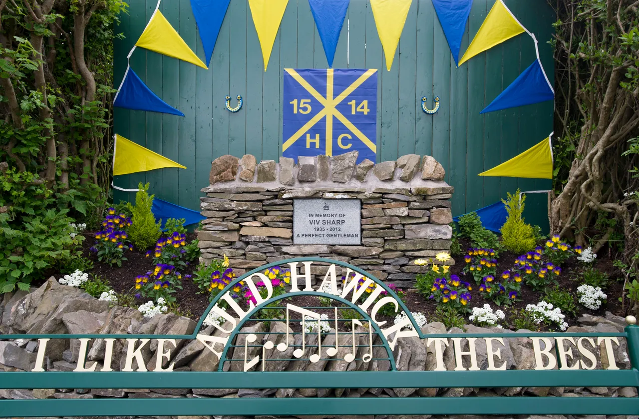 Hawick Common Riding  2015