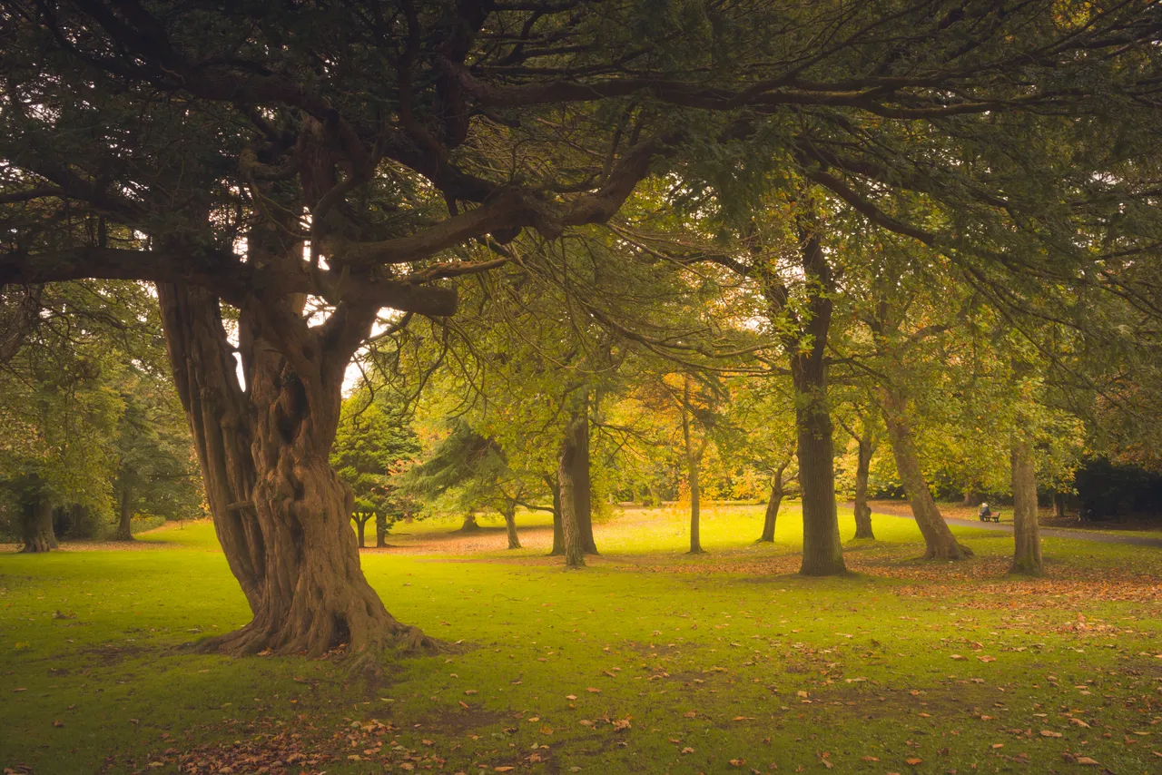 Ravenscraig Park