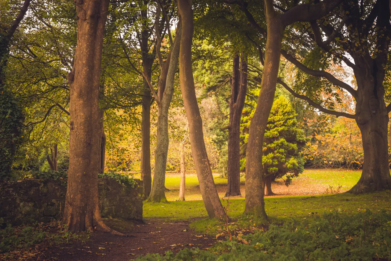 Ravenscraig Park