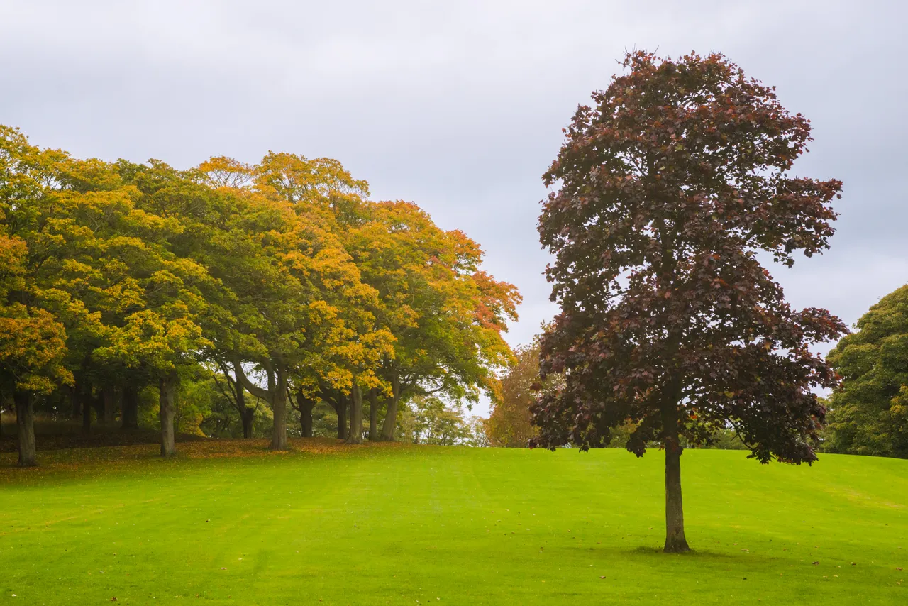 Beveridge Park