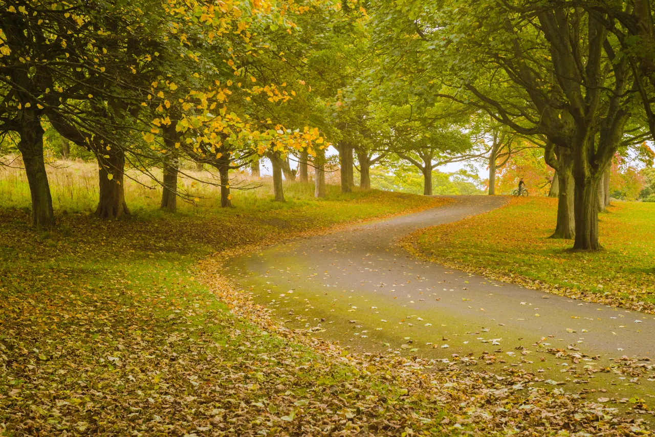 Beveridge Park