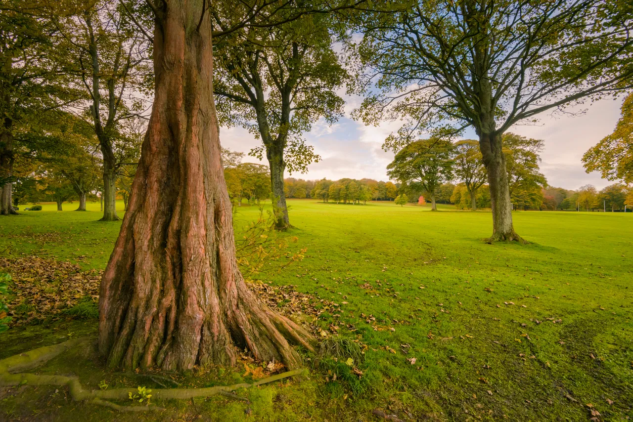 Beveridge Park