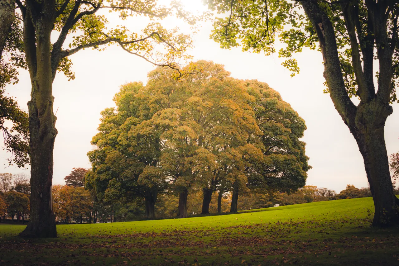 Beveridge Park
