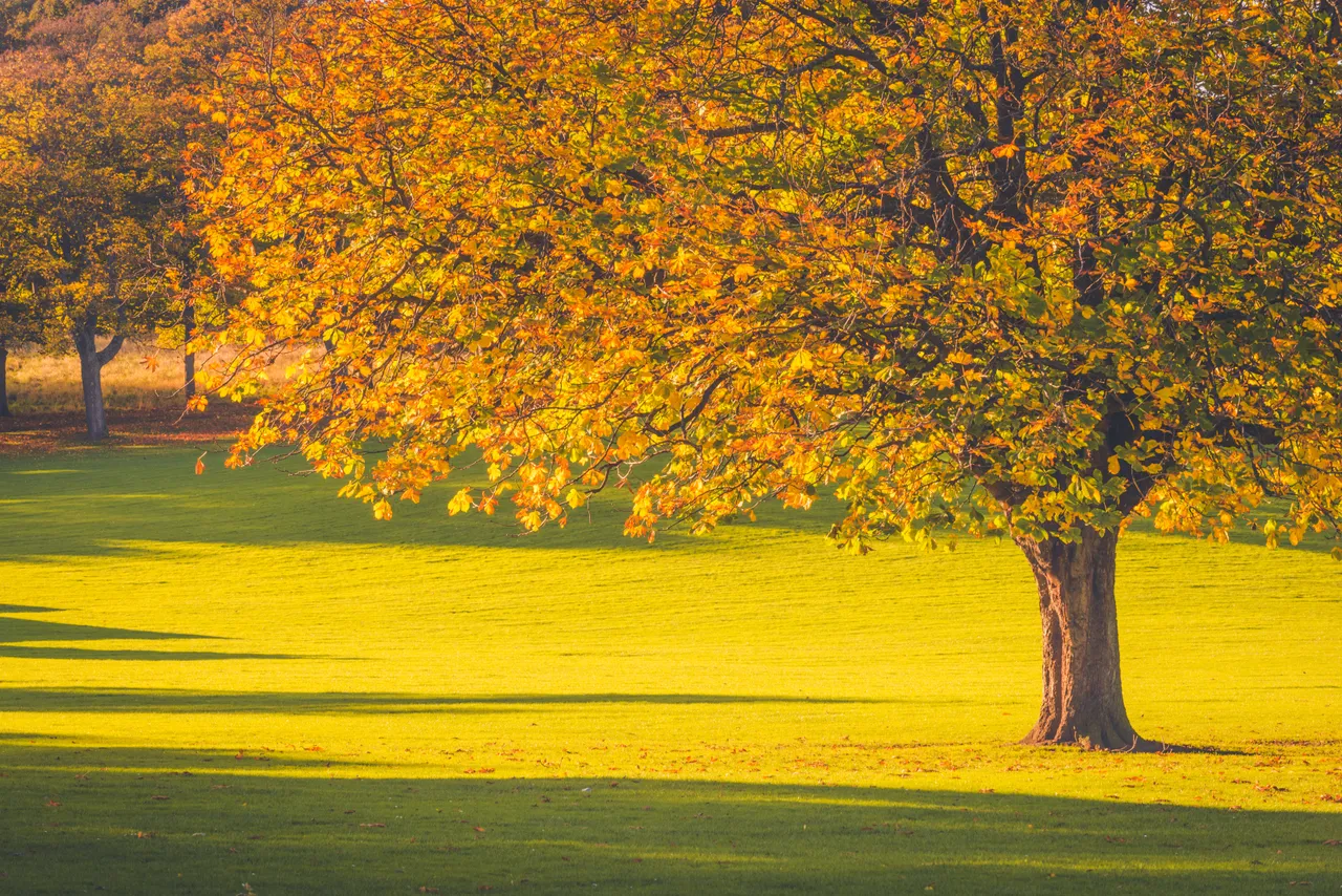 Beveridge Park