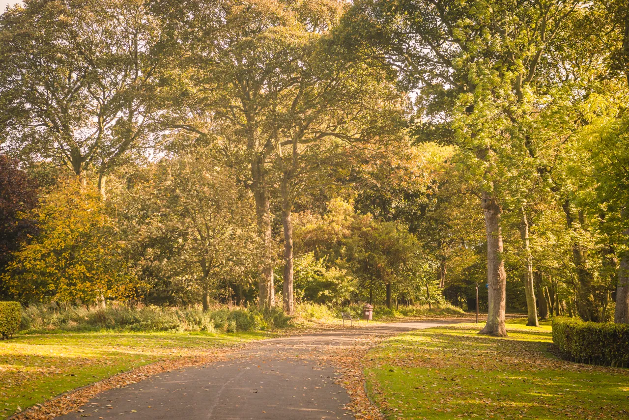 Ravenscraig Park