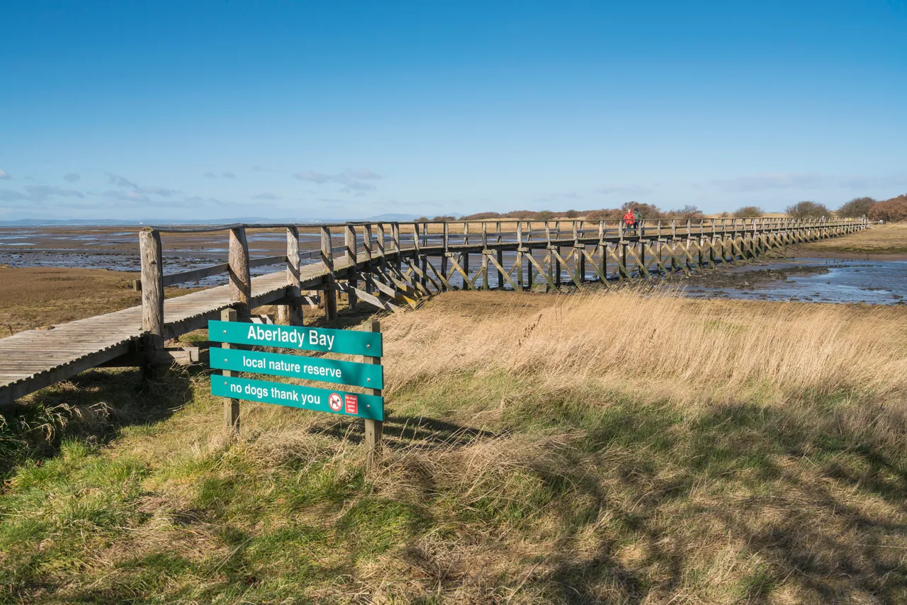 Aberlady Bay Local Nature Reserve