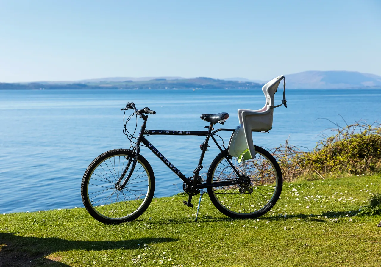 Child Bike Seat