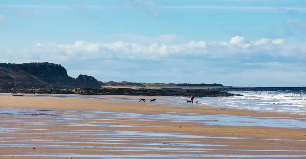 Gullane Beach