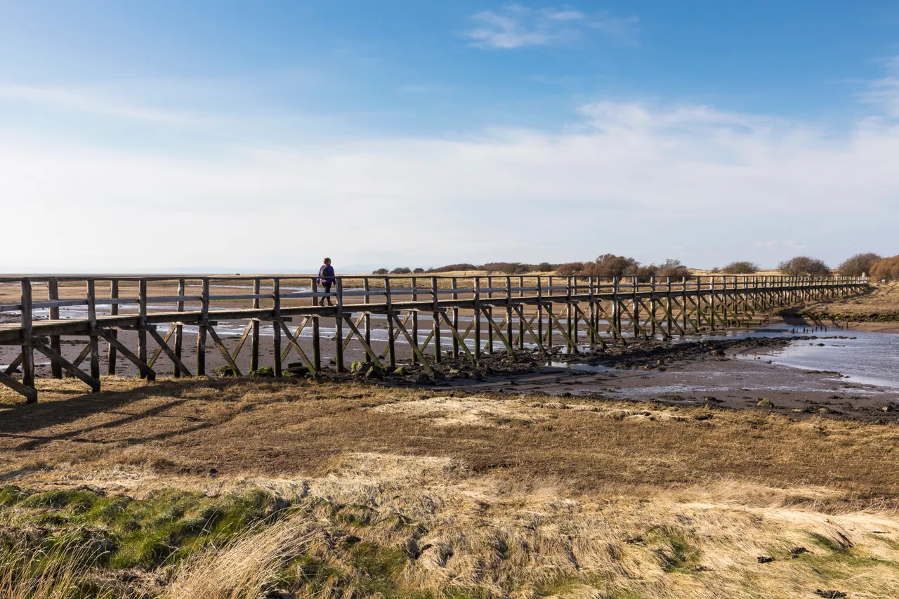 Aberlady Bay Local Nature Reserve