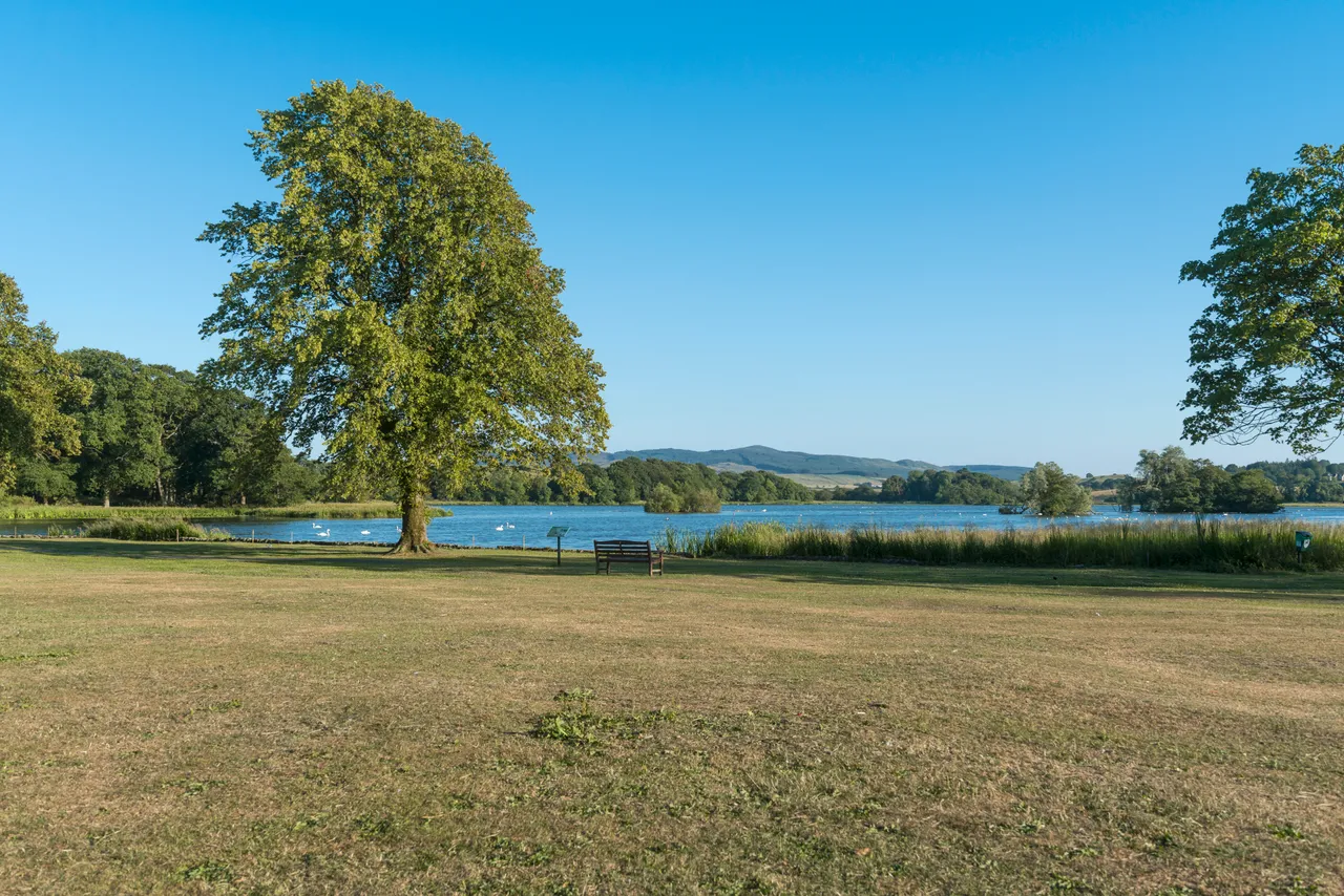 Carlingwark Loch