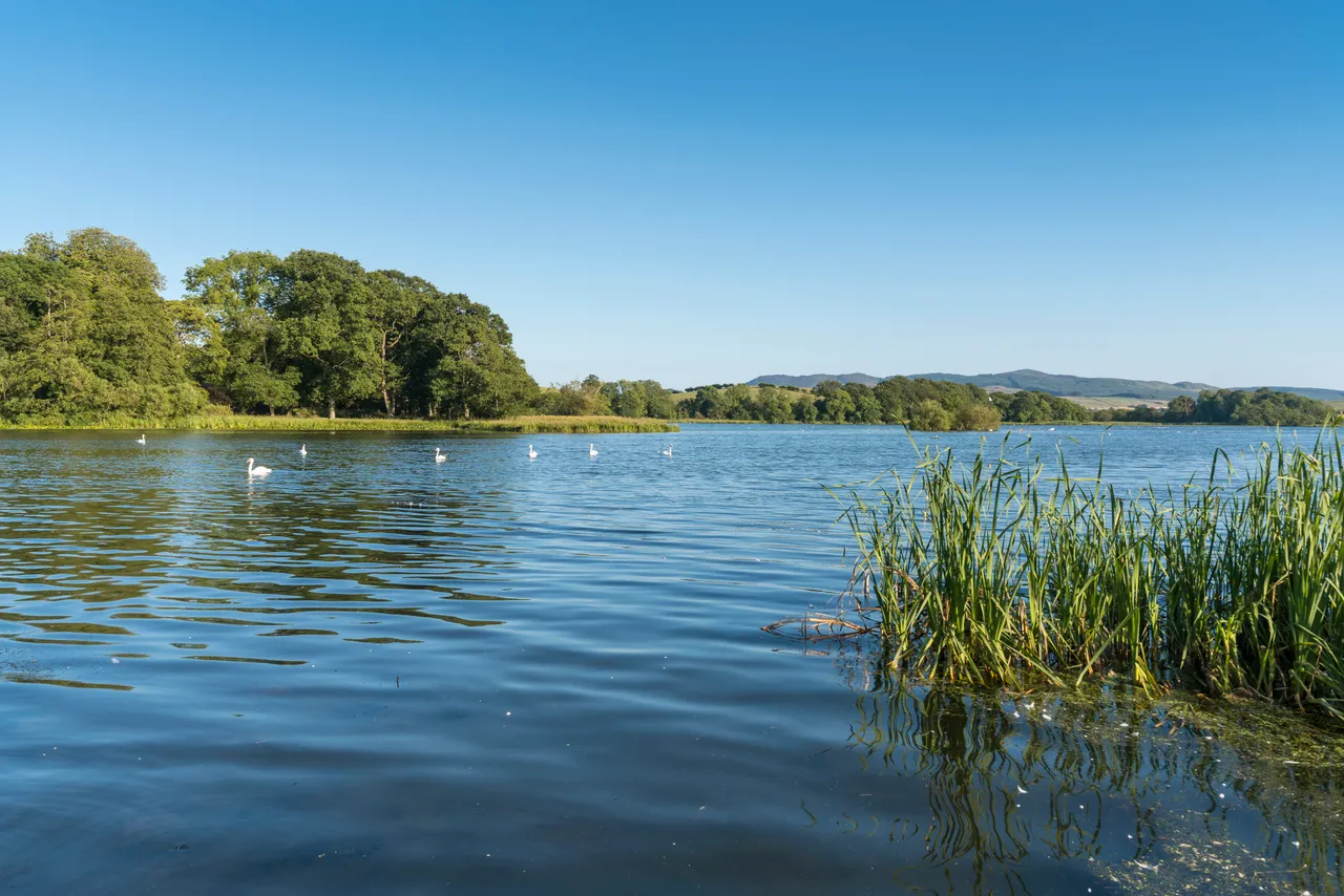 Carlingwark Loch