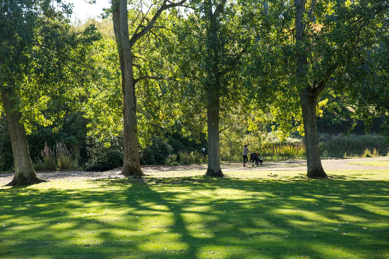 Callendar House and Park
