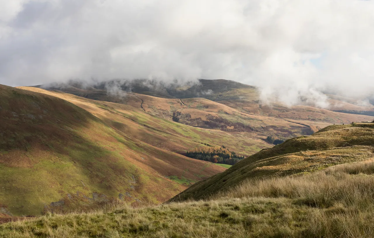 Grey Mare’s Tail Nature Reserve