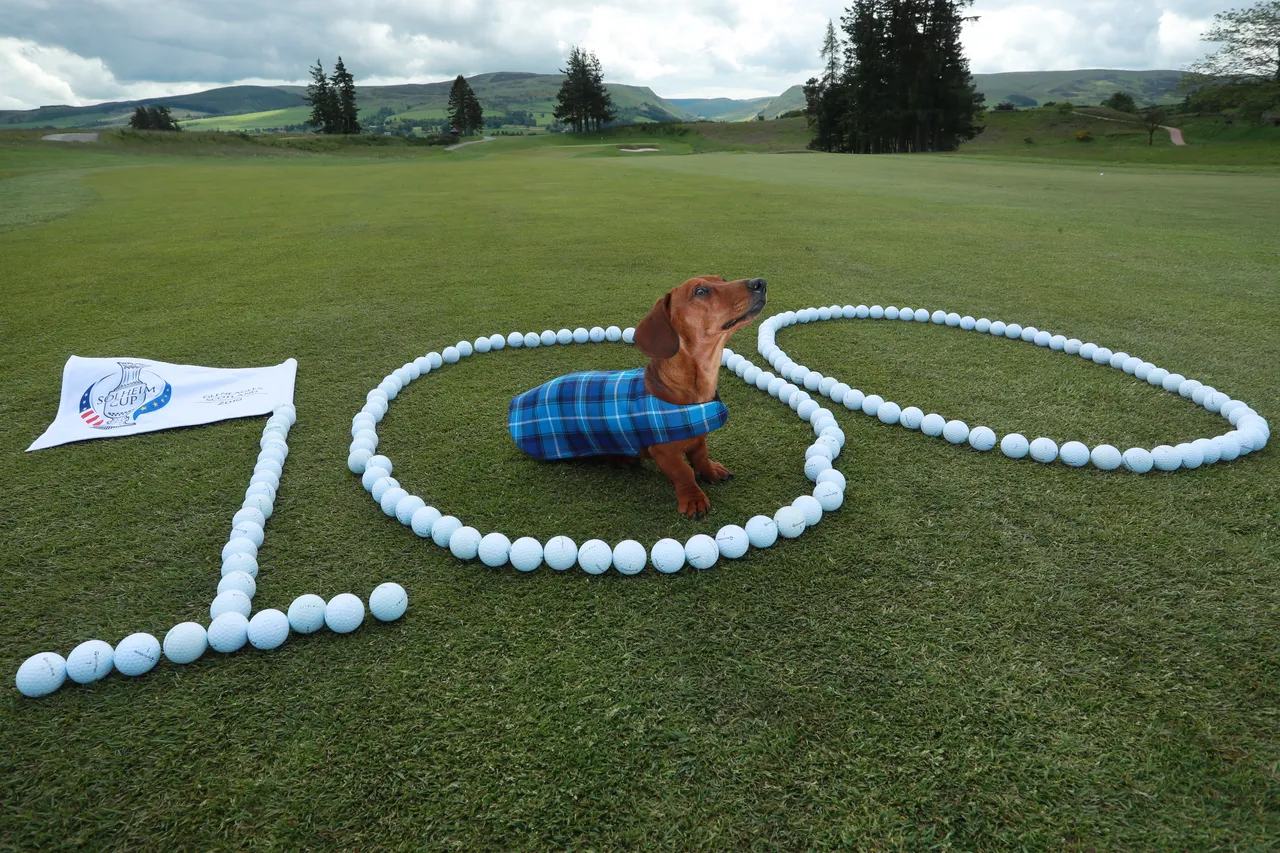 Solheim Cup - 100 days till the competition begins