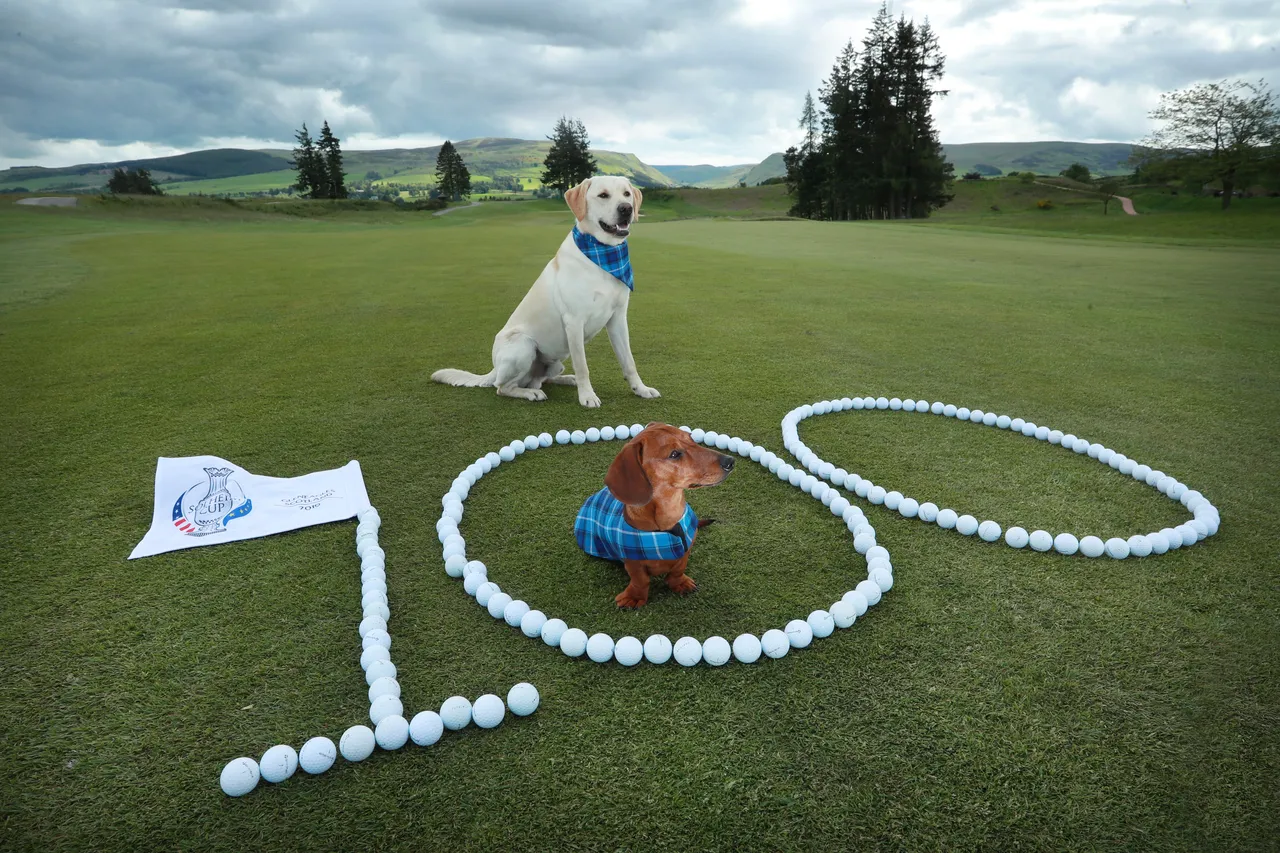 Solheim Cup - 100 days till the competition begins