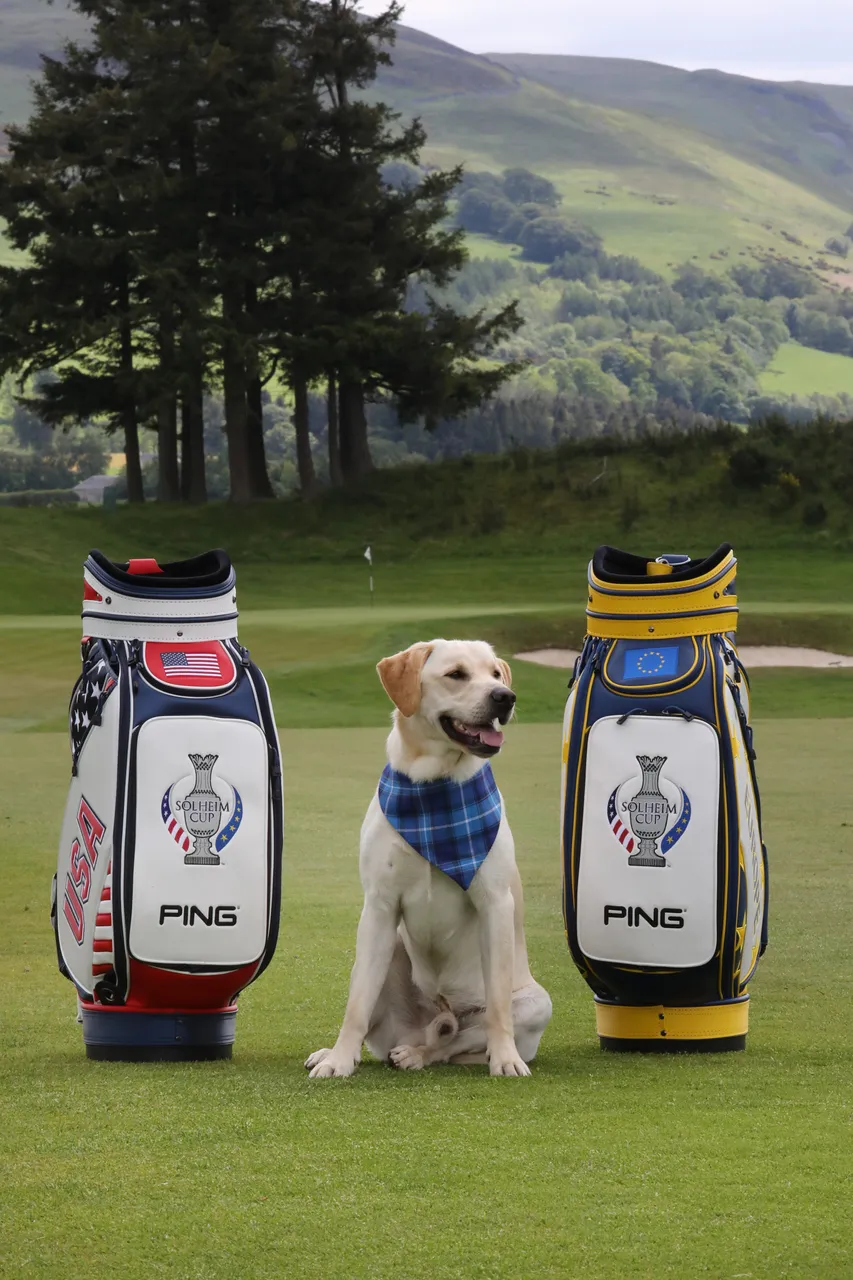 Solheim Cup - 100 days till the competition begins