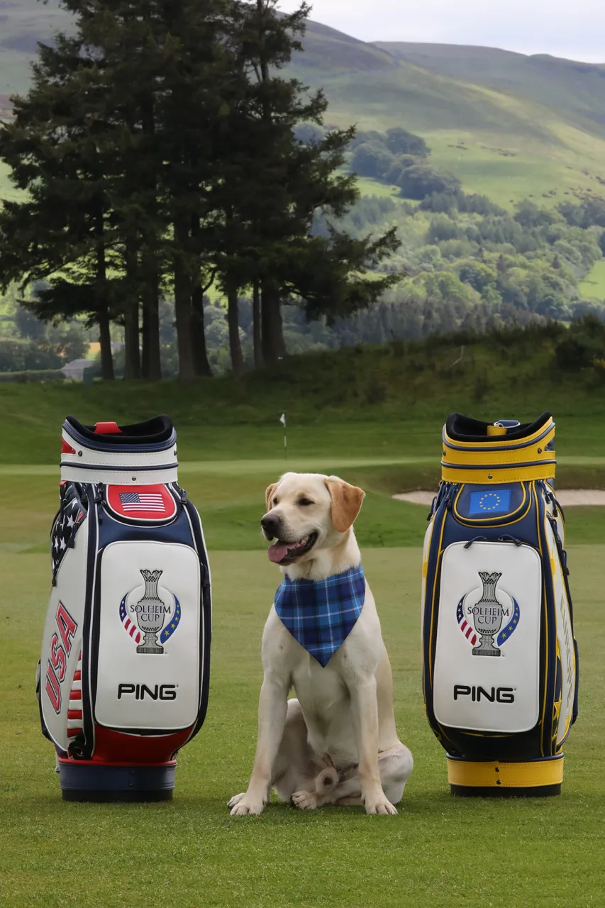 Solheim Cup - 100 days till the competition begins
