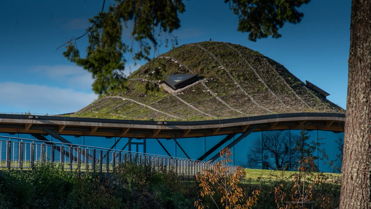 The Macallan distillery
