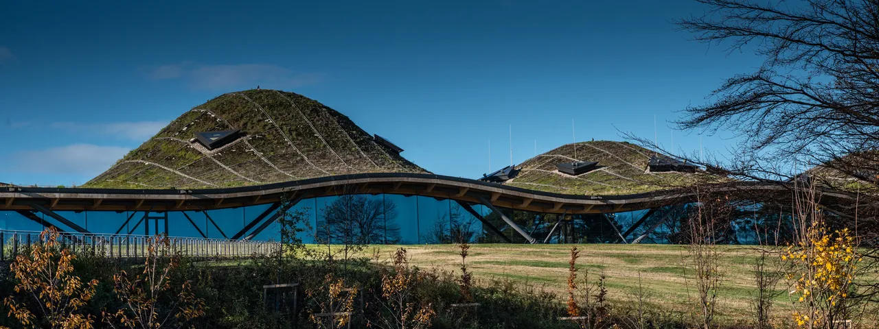 The Macallan distillery
