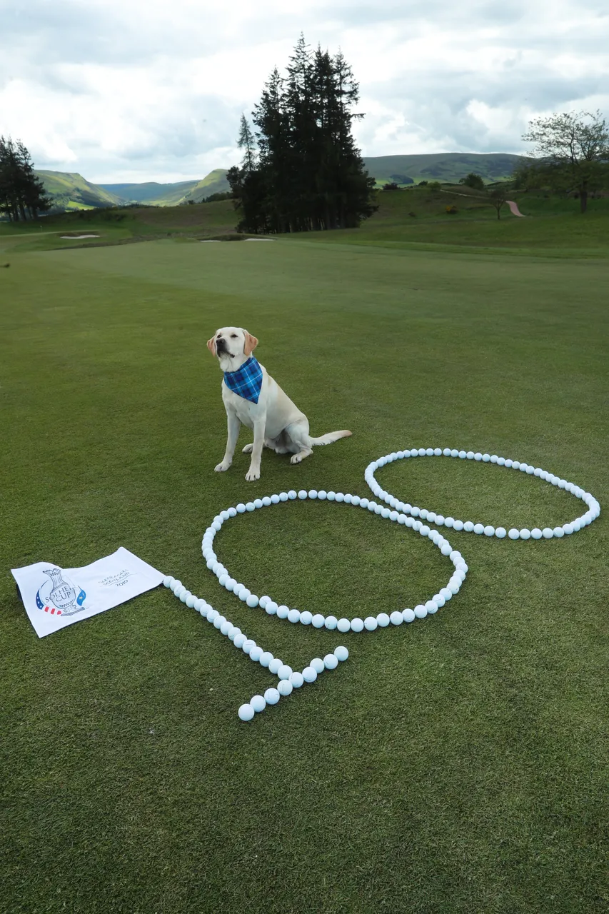 Solheim Cup - 100 days till the competition begins