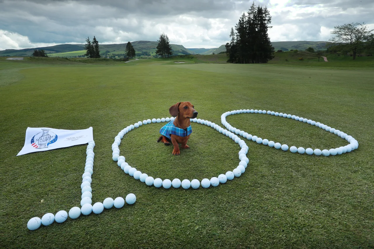 Solheim Cup - 100 days till the competition begins