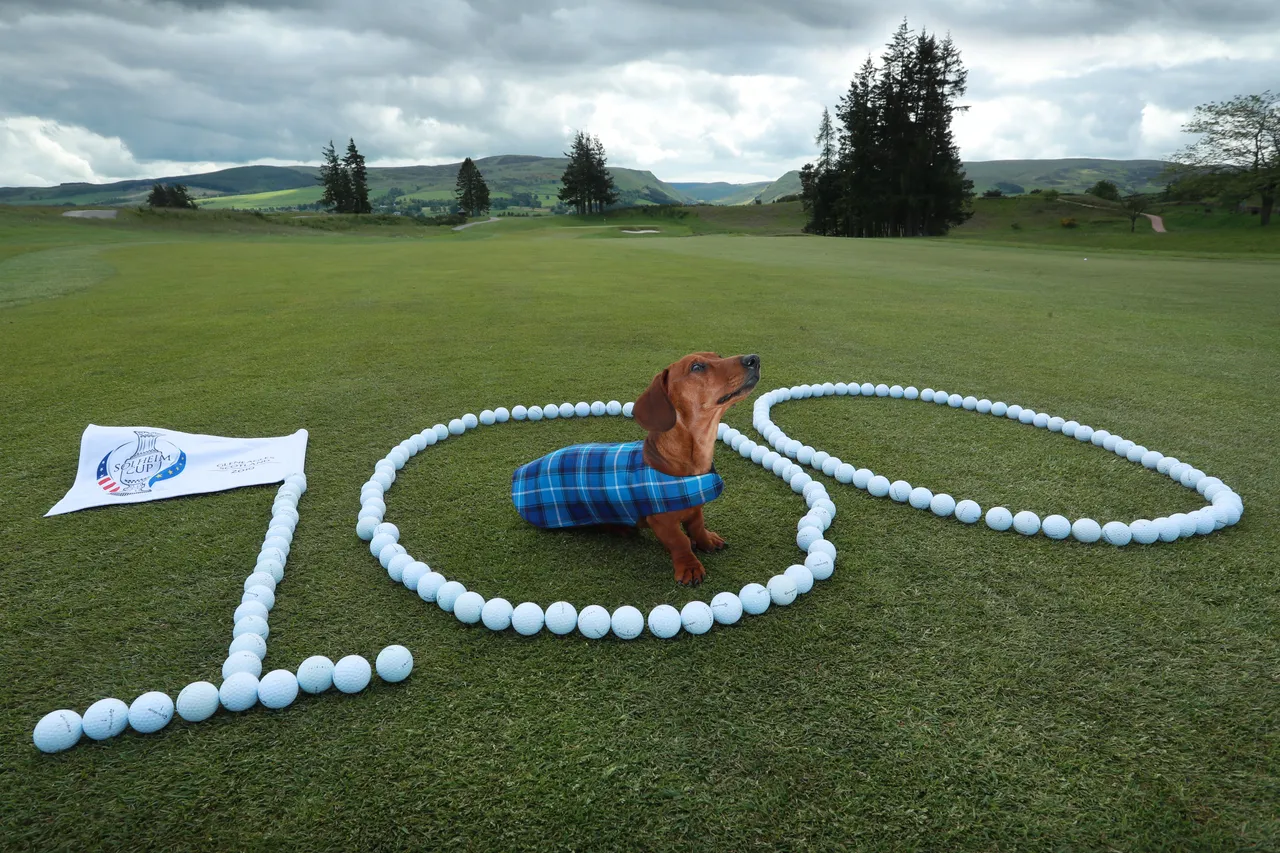 Solheim Cup - 100 days till the competition begins
