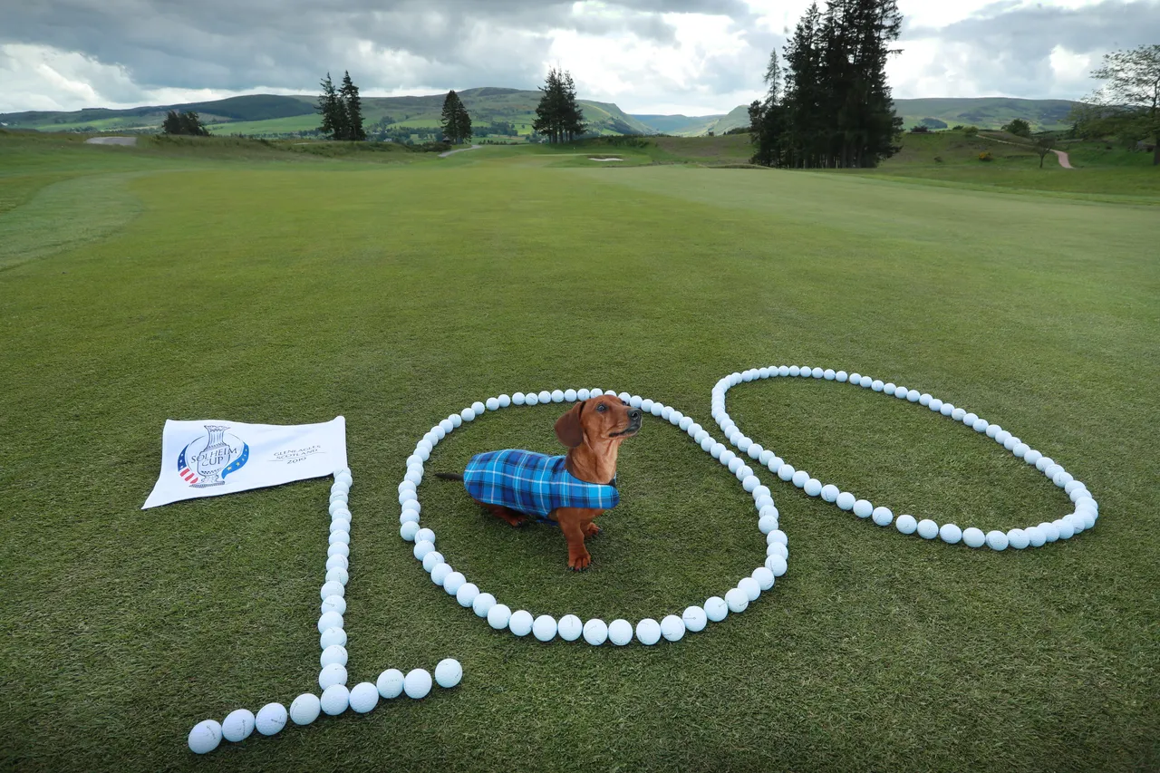 Solheim Cup - 100 days till the competition begins