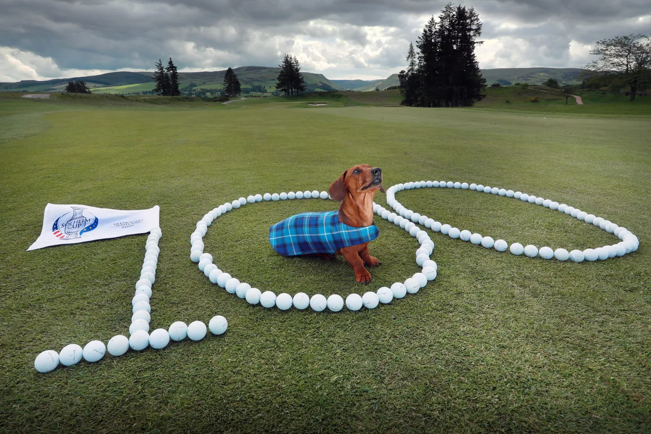 Solheim Cup - 100 days till the competition begins