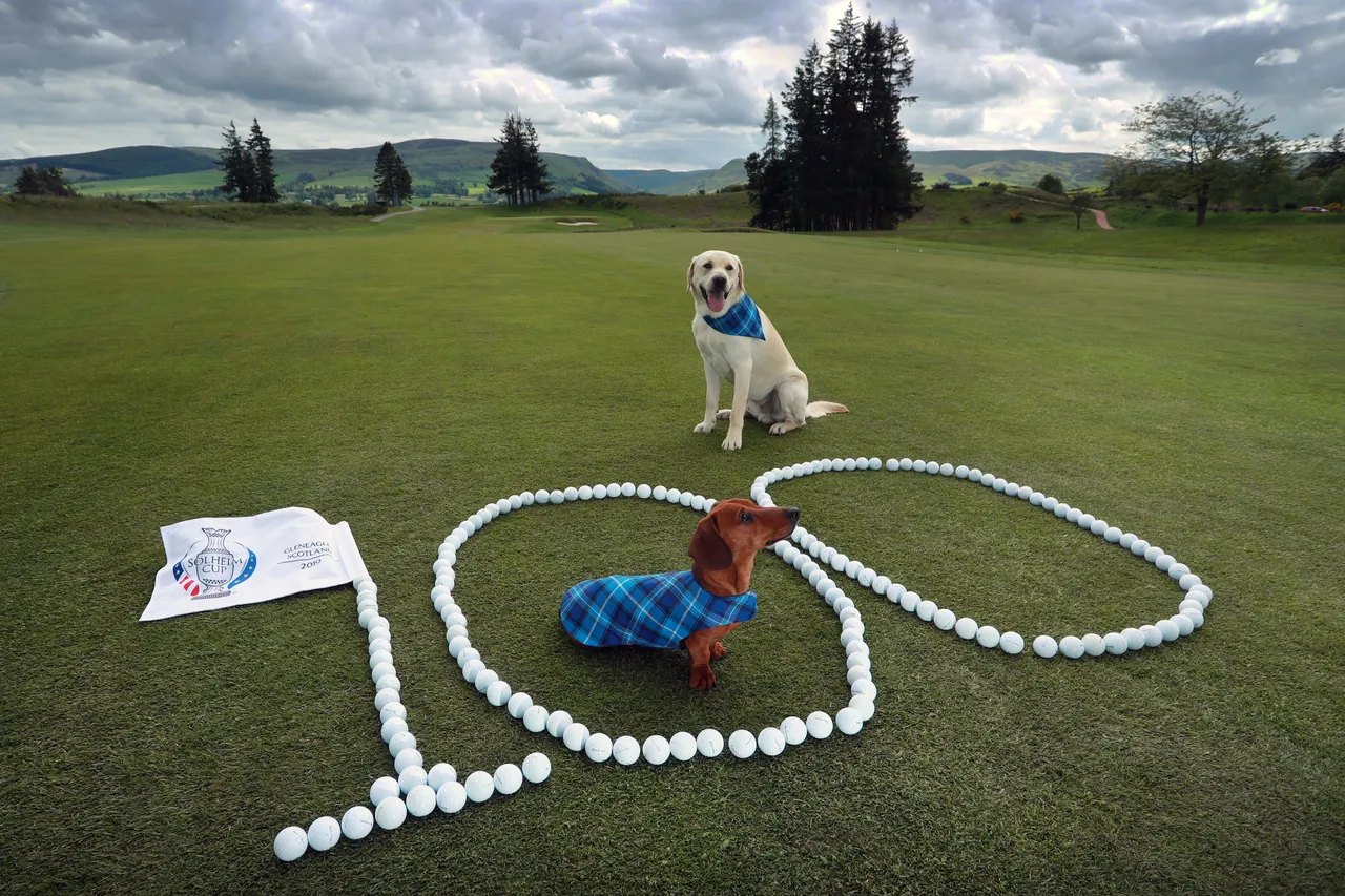 Solheim Cup - 100 days till the competition begins