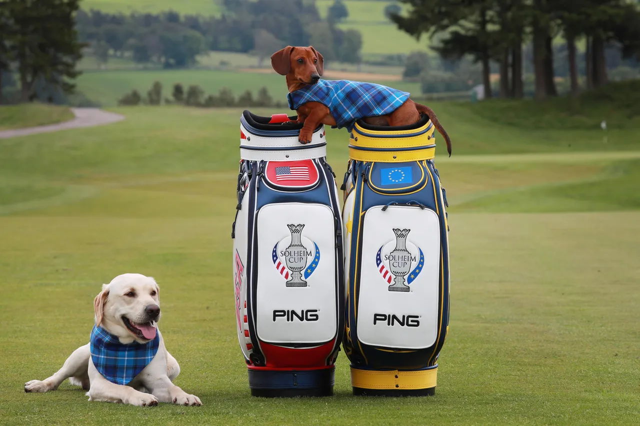 Solheim Cup - 100 days till the competition begins