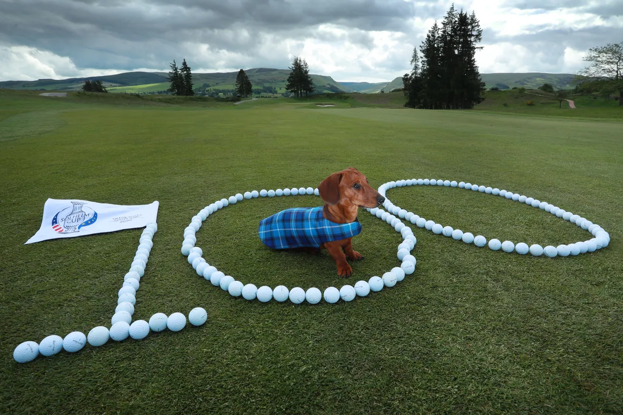 Solheim Cup - 100 days till the competition begins
