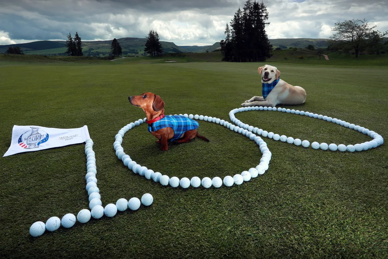 Solheim Cup - 100 days till the competition begins