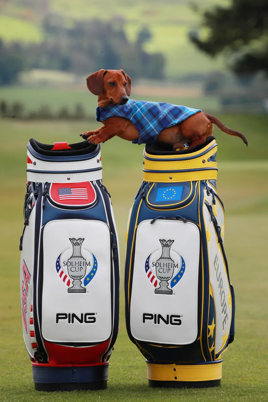 Solheim Cup - 100 days till the competition begins