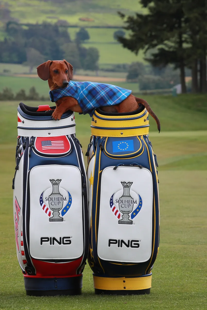 Solheim Cup - 100 days till the competition begins