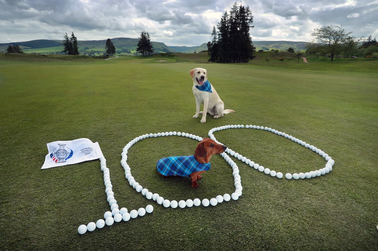 Solheim Cup - 100 days till the competition begins