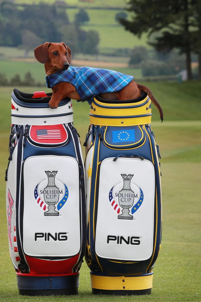 Solheim Cup - 100 days till the competition begins
