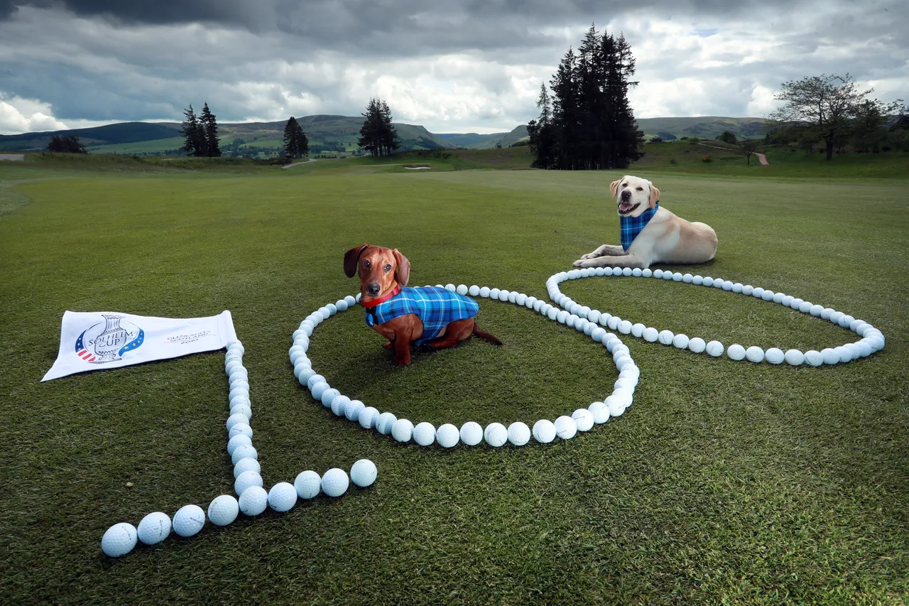 Solheim Cup - 100 days till the competition begins