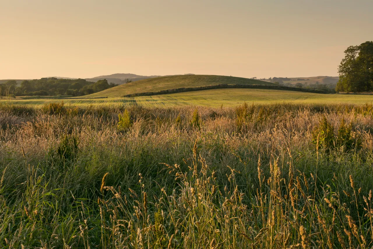 Threave Garden & Nature Reserve