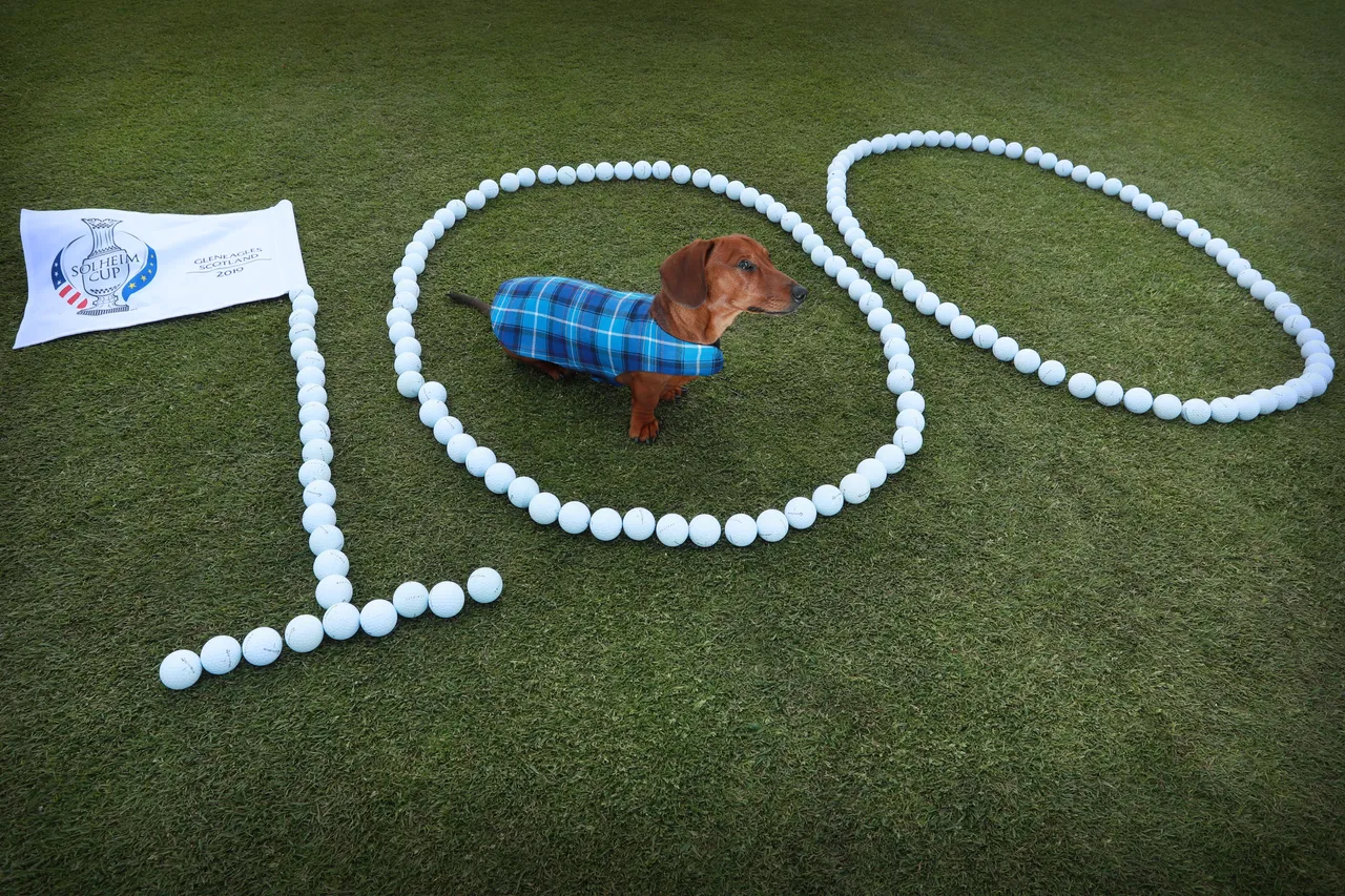 Solheim Cup - 100 days till the competition begins