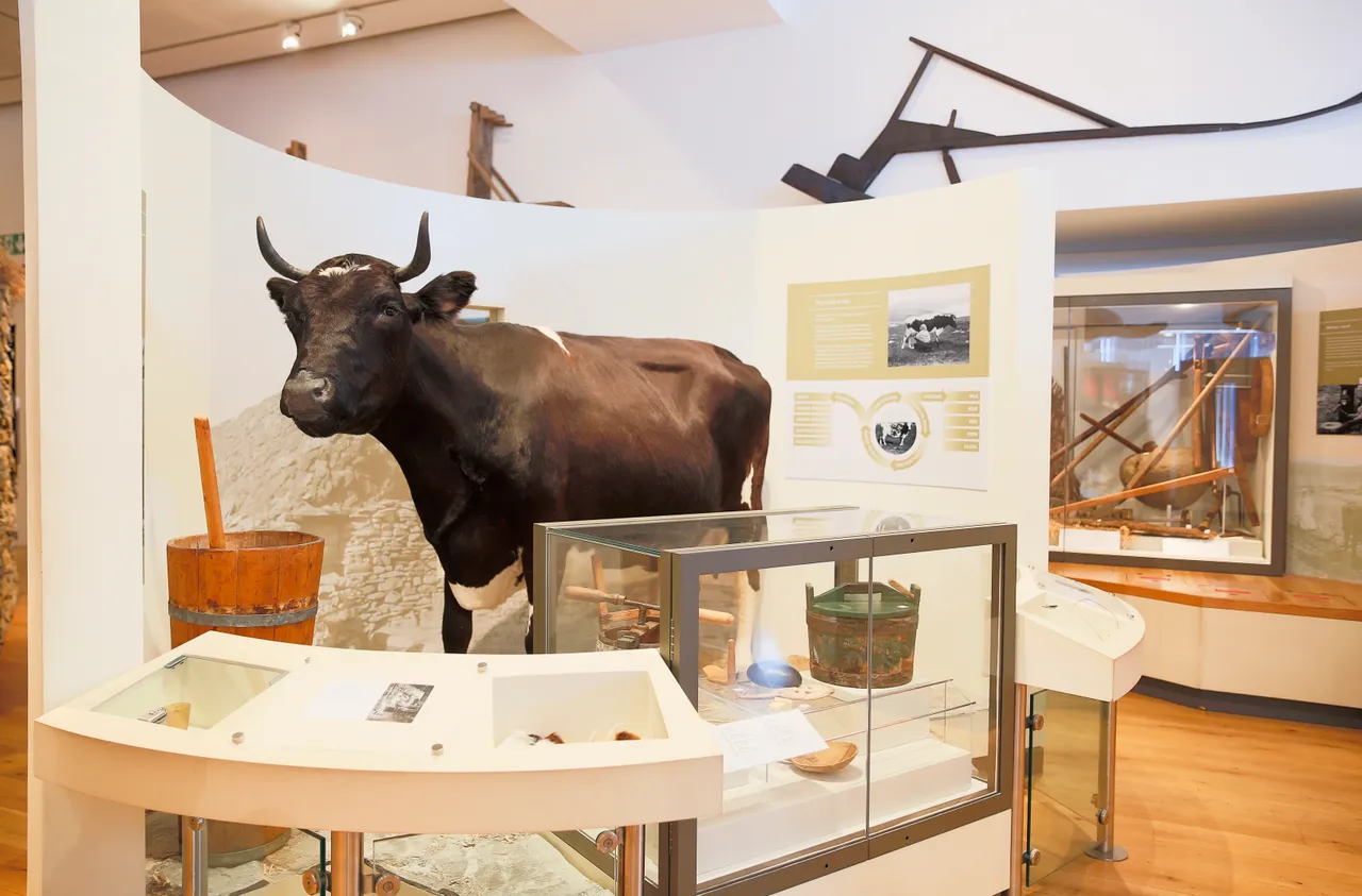 Shetland Museum and Archives