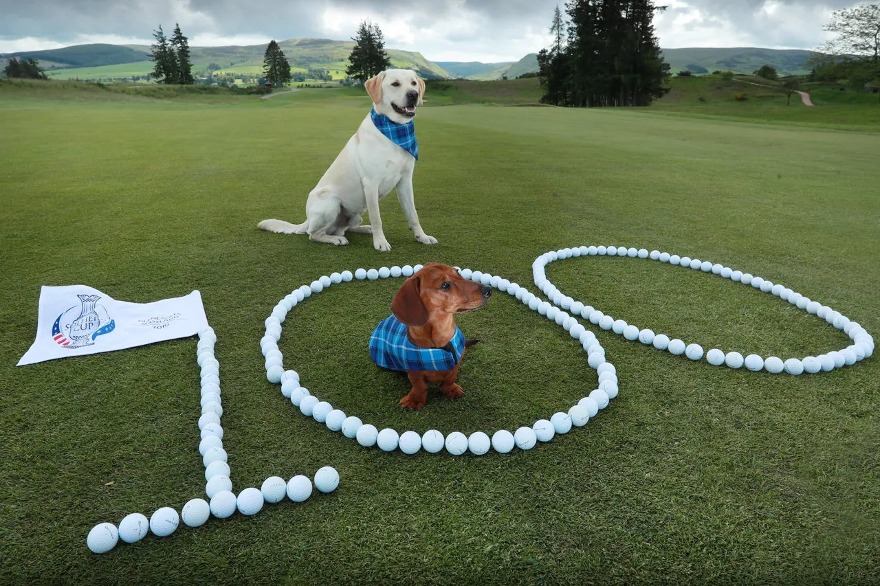 Solheim Cup - 100 days till the competition begins