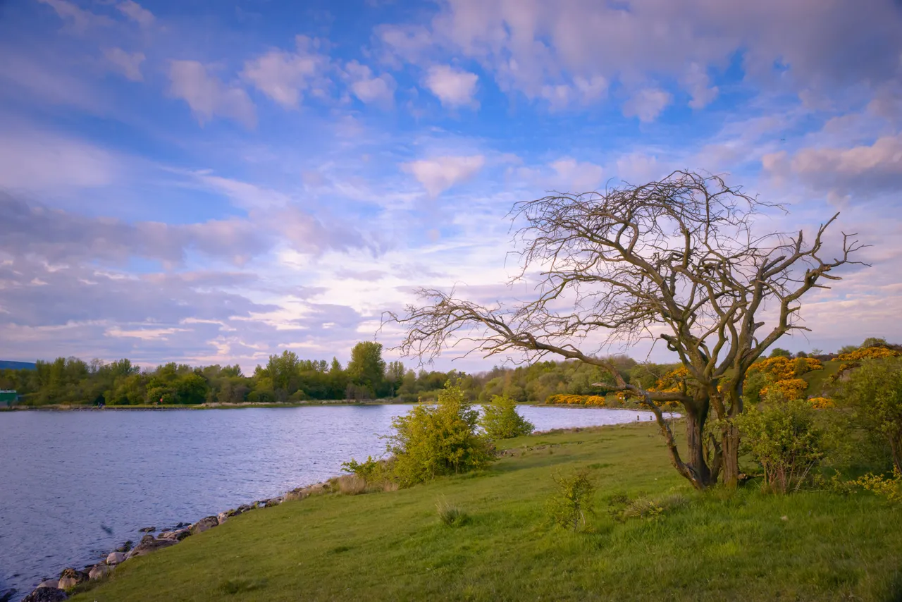 Lochore Meadows Country Park