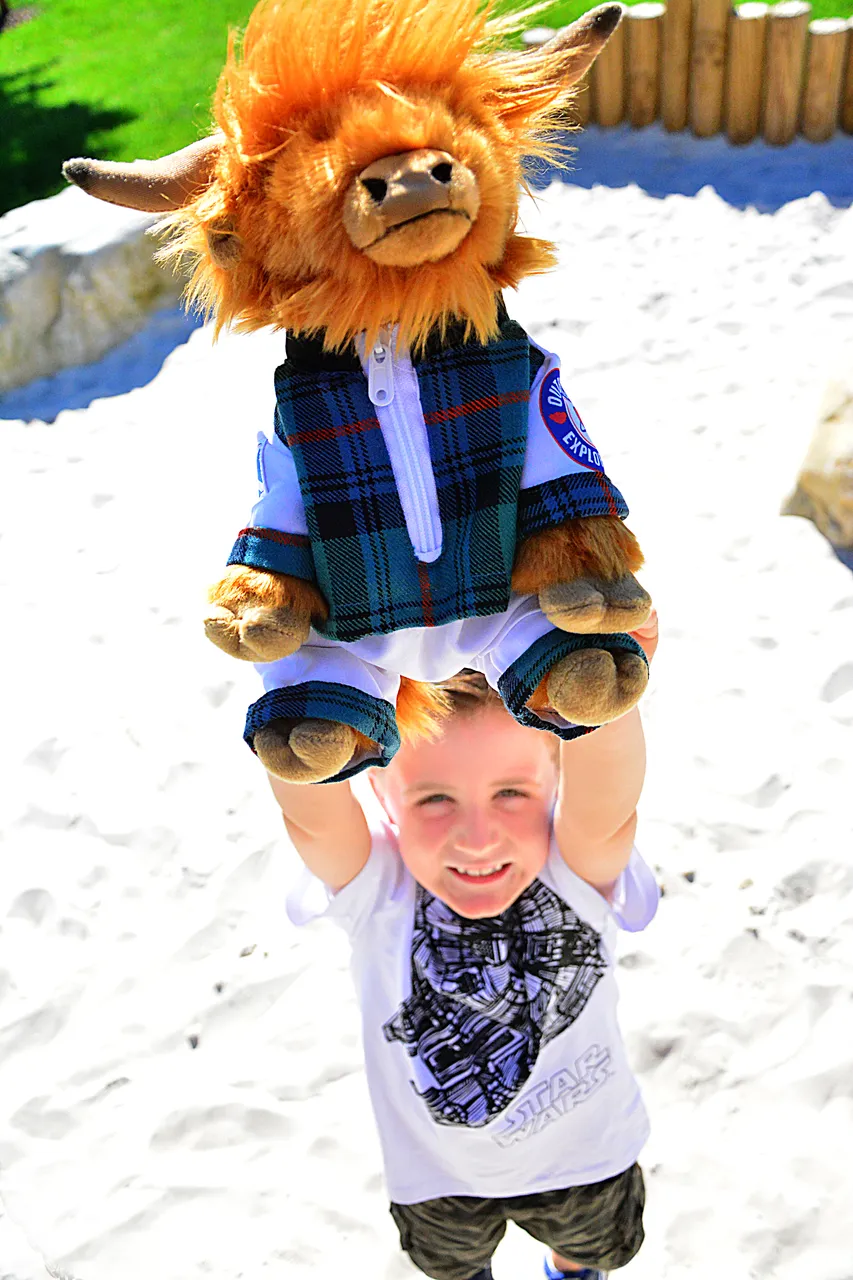 Highland Coosmonaut Winner
