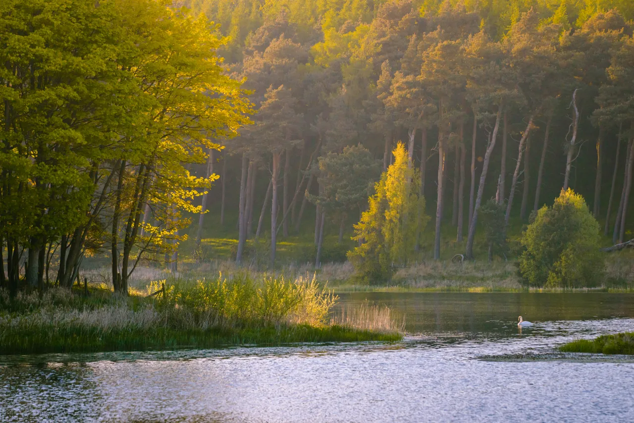 Clatto Reservoir